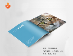 膠裝畫(huà)冊(cè)